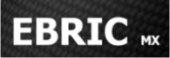  EBRICmx 